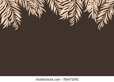 Palm tree leaves isolated on dark background with space for text.