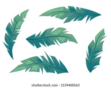 Palm tree leaves isolated set collections. Vector flat cartoon graphic design illustration