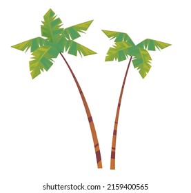 Palm tree leaves isolated set collections. Vector flat cartoon graphic design illustration