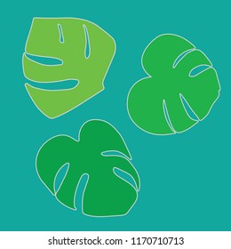 palm tree leaves, Monstera tropical plant- vector illustration