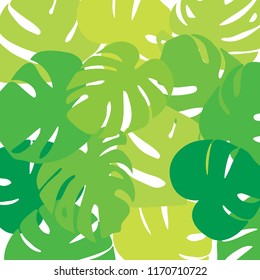 palm tree leaves, Monstera tropical plant backgrund- vector illustration