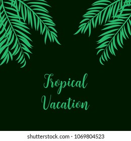 Palm tree leaves on dark background with Tropical Vacation text.