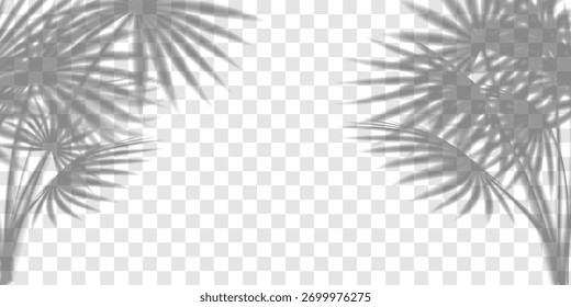 Palmeira deixa sombra, cobertura de planta trópica em saco transparente. Efeito de luz de praia de verão, sombra de sol vetor de textura ramificada. Luz solar floral abstrata, silhueta de folhagem na parede. Modelo de gobo do produto