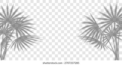 Hojas de palmera sombra, superposición de plantas tropicales en bolsa transparente. Efecto de luz de la playa del verano, textura de la rama del Vector de la sombra del sol. Abstractas luz solar floral, silueta de follaje en la pared. Maqueta del gobo de Producto