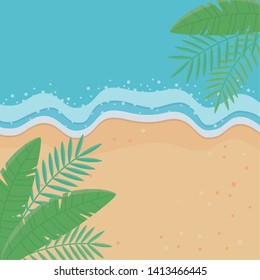Palm tree leaves of summer background