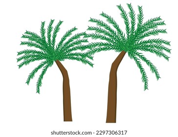 palm tree and leaves vector for background wallpaper icon web