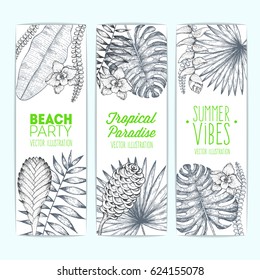 Palm tree leaves vector illustration. Vertical banner set with palm leaves and flowers. Engraved vintage design template