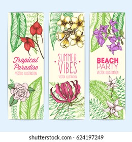 Palm tree leaves vector illustration. Vertical banner set with palm leaves and flowers. Engraved vintage design template. Colorful palm leaves and flowers.