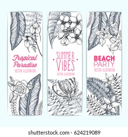 Palm tree leaves vector illustration. Vertical banner set with palm leaves and flowers. Engraved vintage design template.