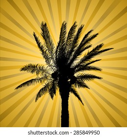 Palm tree lights. Vector