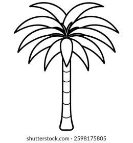 Palm Tree Line Art – Fan Leaf Illustration