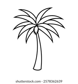 palm tree of a line art vector (2)