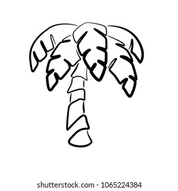 Palm tree. Linear vector illustration black on white