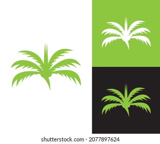 palm tree logo  design eps format