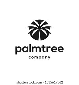palm tree logo design vector