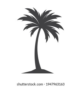 Palm tree logo images illustration design