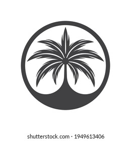Palm tree logo images illustration design