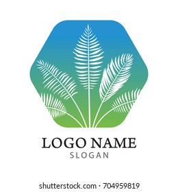 Palm tree logo. Resort and Spa emblem. coconut leaves icon. vector illustration.