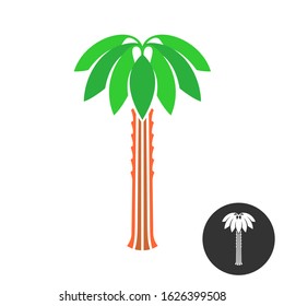 Palm tree logo. Tropical theme nature symbol. Travel concept sign.