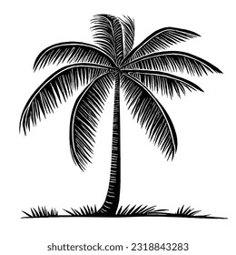 Palm Tree Minimal Line Art Drawing in Vector Style 