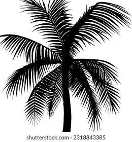 Dibujo de líneas mínimas en el árbol de palmas en el estilo vectorial 