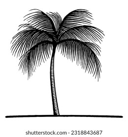 Palm Tree Minimal Vector Line Art 