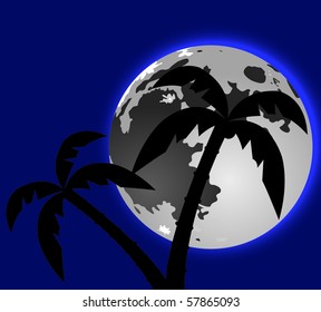 palm tree at moon light