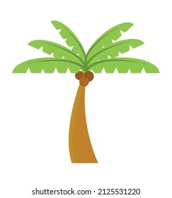 palm tree nature icon flat