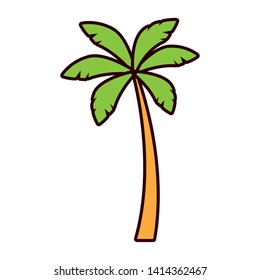 palm tree nature tropical on white background vector illustration