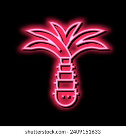 Palmenbaum Neonlichtzeichen Vektor. Palmenschild. einzelne Symbolillustration