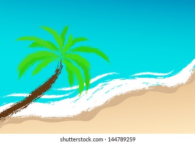 palm tree on the beach