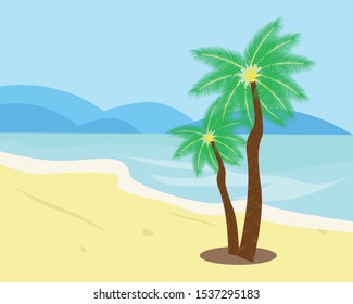 The palm tree on the beach