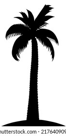 palmera en la playa