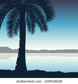 palm tree on the beach blue holiday background vector illustration EPS10