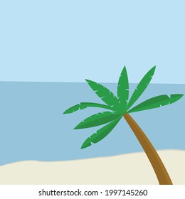 palm tree on the beach with blue sky