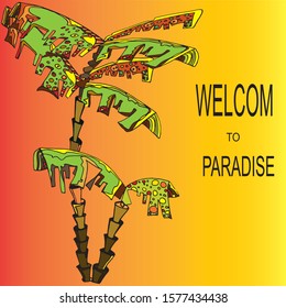 Palm tree on a colored background. Graphic design of palm trees. Greeting card for travel advertisements, textiles, wrapping paper, for printing stencils or coloring. Vector illustration