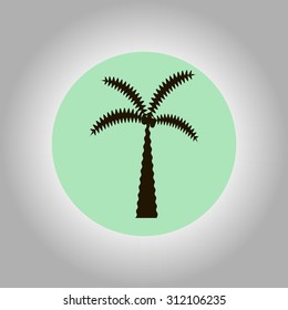 palm tree on green background