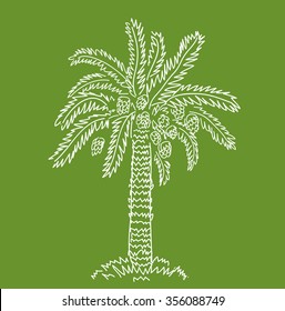 Palm tree on green background. Date palm fruit.