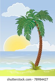 palm tree on the sea beach
