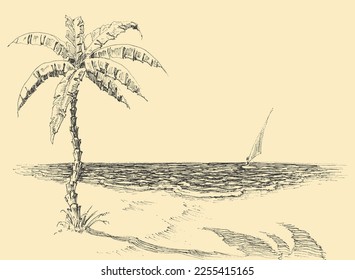 Palm tree on sea shore vector hand drawing