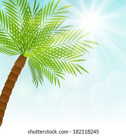 Palm tree on sunny background