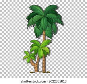 Palm tree on transparent background illustration
