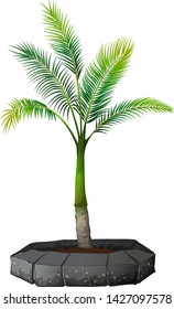 A palm tree on white background illustration