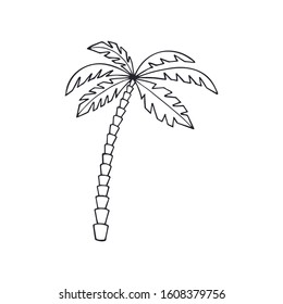 palm tree on white background. eps 10 vector stock illustration.