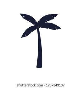 Palm tree on white background