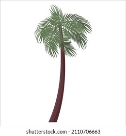 Palm tree on a white background. EPS 10.