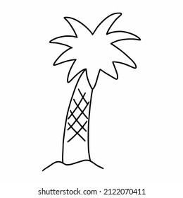 Palm tree on white background. Vector doodle illustration.