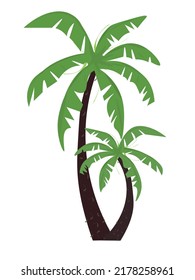 Сolored palm tree on a white background. Palm tree icon vector logo coconut tree symbol sign tropical summer beach character cartoon illustration white