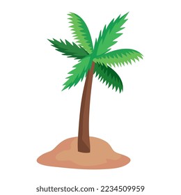 Árbol de palma sobre fondo blanco