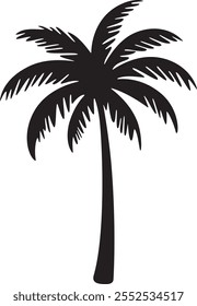 Palm tree on a white background.